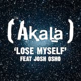 Lose Myself (instrumental)