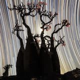 The Technicolour Sleep