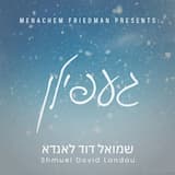 Tzelem Elokim - געפילן פון שטאלץ