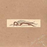 Black Fence (Re-recorded Version)