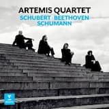 String Quartet No. 13 in A Minor, Op. 29, D. 804 "Rosamunde": II. Andante