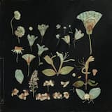 better days will come