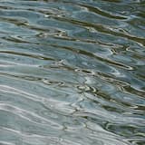 Embryo (Azaleh remix)