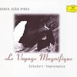 Impromptus, D. 899: No. 2 in E-flat major. Allegro