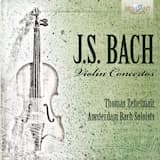 Violin Concerto in G minor, BWV 1056: II. Largo