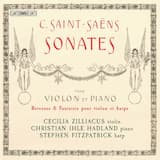 Violin Sonata no. 1 in D minor, op. 75: I. Adagio