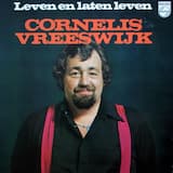 Het mannetje in mijn gitaar