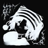 transient fleeting memoirs