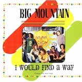 I Would Find a Way (single version)