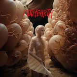 Sorry for Being So Sexy