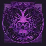 Post‐traumatic Stress Disorder