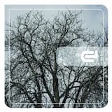 Little Devil (Fase Miusic Sender Remix)