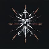 Debrided Necrotic Tissue