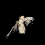 Закрытая на зиму чакра