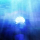 私は海の近くにいたいinability