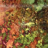 With a Why and an Ear