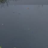 when will it be summer