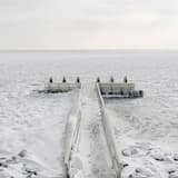 Environmental Migrant