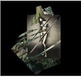 purple morning[iiye]