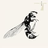 The Last Symphony / Magnolia