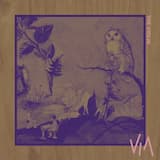 The Violin: Resting in the Green