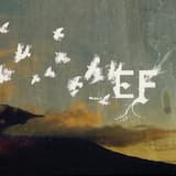 Final Touch / Hidden Agenda