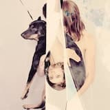 Here Comes the Miner