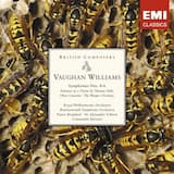 Symphony no. 5 in D: II. Scherzo (Presto misterioso)