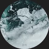 Plateaux (Piante Vive re interpretation)