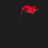 Moonbow (Pablo Bolivar rework)