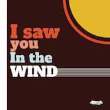 I Saw You in the Wind (instrumental)