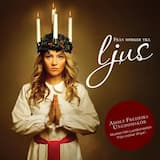 Så mörk är natten i midvintertid