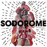 Face IIII (Extract) : La medecine à couler et les petits oiseaux