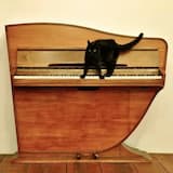 Snow Airport (for piano)