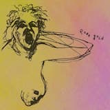 counting all the starfish