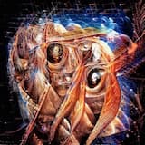 МЕЛАНХОЛИЯ