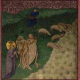 Faceless Head in the Boughs