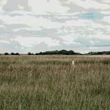 The Garden Gate (backing track - 10.05.22)