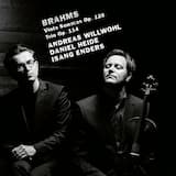 Viola Trio, Op. 114: IV. (Allegro)