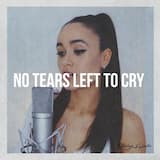 No Tears Left to Cry