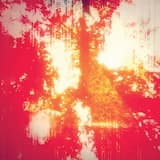 Transmission From the Moon