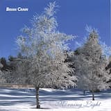 Last Light on the Mountain