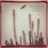 Pasos por las sombras