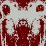 The Curse of Lost Days (Part V)