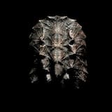 Il marchio del condor