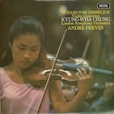 Violin Concerto in D major, op. 35: 1. Allegro moderato