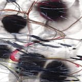 Life Coach (for Helias)