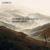 String Quartet in A minor, op. 41 no. 1: III. Adagio