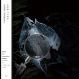 Strata 3 - Modernity