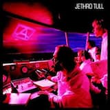 The Pine Marten’s Jig